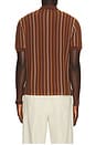 view 2 of 5 Stripe Knitted Polo in Cinnamon Brown