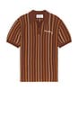 view 4 of 5 Stripe Knitted Polo in Cinnamon Brown