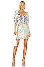 view 1 of 3 Alina Dress in Dahlia Print