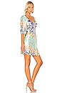 view 2 of 3 Alina Dress in Dahlia Print