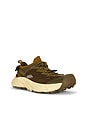 view 2 of 6 ZAPATILLA DEPORTIVA HOPARA 2 in Sepia & Barley