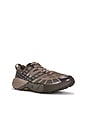 view 2 of 6 SNEAKERS SPEEDGOAT 2 in Pebble Grey & Cliff Grey