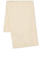 view 2 of 3 CORYNNE 스카프 in Beige