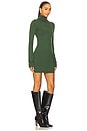 view 2 of 3 x REVOLVE Maurene Mini Dress in Forest Green