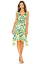 view 1 of 3 x REVOLVE Rita Dress in Kelly Green Floral