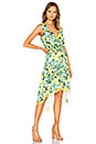 view 2 of 3 x REVOLVE Rita Dress in Kelly Green Floral