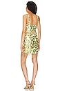 view 3 of 4 x REVOLVE Naina Mini Dress in Lime & White