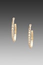 view 1 of 2 House of Harlow Tribal Hoop Earrings in Gold