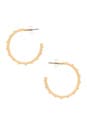 view 2 of 2 Nile Delta Hoop Earrings in Gold & Pearl
