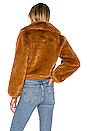 view 4 of 5 CHAQUETA KALIDA in Toffee