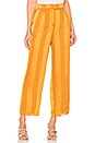 view 1 of 4 PANTALÓN ALESSIA in Inca Gold