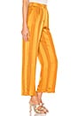 view 2 of 4 PANTALÓN ALESSIA in Inca Gold