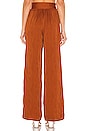 view 3 of 4 PANTALON TANIA in Burnt Orange