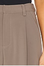 view 6 of 6 Marichelle Pant in Dark Mushroom