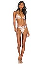 view 4 of 4 BAS DE MAILLOT DE BAIN ANASTASIA in Striped Python