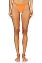 view 1 of 4 BAS DE MAILLOT DE BAIN ELIZA in Burnt Orange