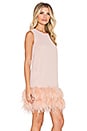 view 2 of 4 Feathered Mini Dress in Pink