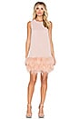 view 4 of 4 Feathered Mini Dress in Pink