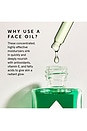 view 4 of 4 Emerald Hemp Seed + Adaptogens Calming Facial Oil in 