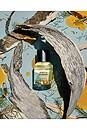 view 3 of 3 Dirty Hinoki Eau De Parfum in 