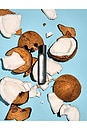 view 3 of 3 Dirty Coconut Eau De Parfum 15ml in 