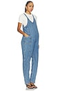 view 4 of 4 The Drapey Nora Jumpsuit in Vintage Dream
