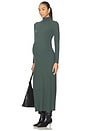 view 1 of 4 The Softest Rib Turtleneck Dress in Juniper