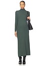 view 2 of 4 The Softest Rib Turtleneck Dress in Juniper