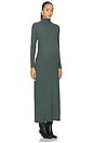 view 3 of 4 The Softest Rib Turtleneck Dress in Juniper