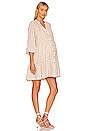view 2 of 3 VESTIDO PREMAMÁ THE AURORA in Tan & Ivory Gingham