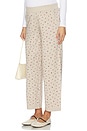 view 4 of 7 The Nora Floral Knit Pant in Oat Melange