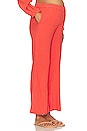 view 3 of 5 Shawna Pant in Coral