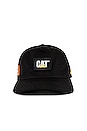 view 1 of 5 Cat Baseball Cap in Black