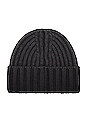 view 2 of 2 Hp Rib Beanie in Anthracite