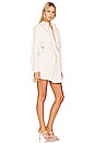 view 2 of 3 Oversized Shirt Dress in Great Egret