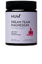 view 1 of 7 Dream Team Magnesium in 