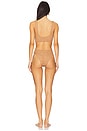 view 3 of 3 Juno Bikini Set in Metallic Cocoa