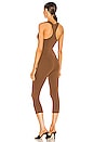 view 3 of 4 Tara Jumpsuit in Brown