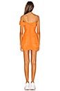 view 4 of 4 Danika Mini Dress in Orange