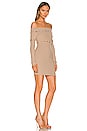 view 2 of 4 Delhia Mini Dress in Camel