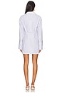 view 3 of 4 Faye Shirt Dress in Gray & White