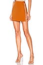 view 1 of 4 Lacey Mini Skirt in Burnt Orange