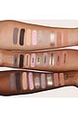 view 7 of 10 PALETA DE SOMBRAS ICY NUDE EYESHADOW PALETTE in 