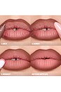 view 9 of 10 BARRA LABIOS LIQUID MATTE MOUSSE in Berry Brown
