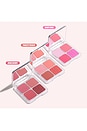 view 10 of 10 COLORETE BLUSH FILTER BLURRING BLUSHLIGHTERS PALETTE in Rose Berry