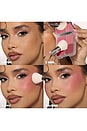 view 9 of 10 COLORETE BLUSH FILTER BLURRING BLUSHLIGHTERS PALETTE in Rose Berry
