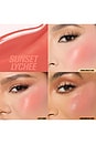 view 3 of 9 BLUSH FILTER LIQUID BLUSH ブラシ in Sunset Lychee