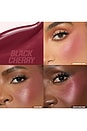view 3 of 9 BLUSH FILTER LIQUID BLUSH ブラシ in Black Cherry