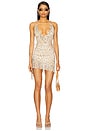 view 1 of 4 Vira Mini Dress in Leopard