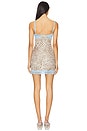 view 3 of 3 Calypso Mini Dress in Leopard in Neu